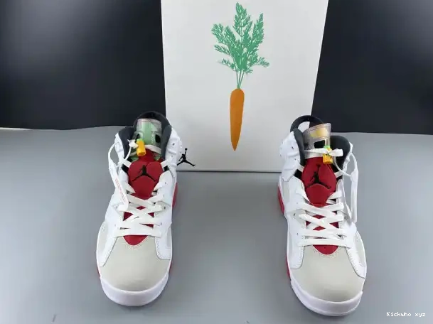 Hare Jordan 6 CT8529-062 Air 0309