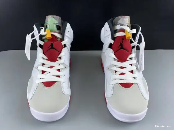 Hare Jordan 6 CT8529-062 Air 0309